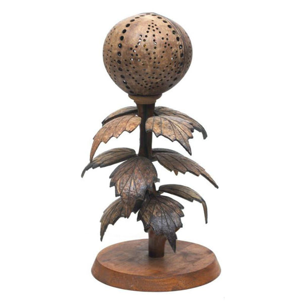 Lamp-coconut shell flowerbud